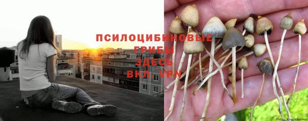 спайс Красноперекопск