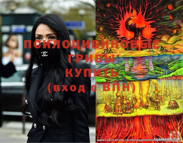 крисы Краснотурьинск