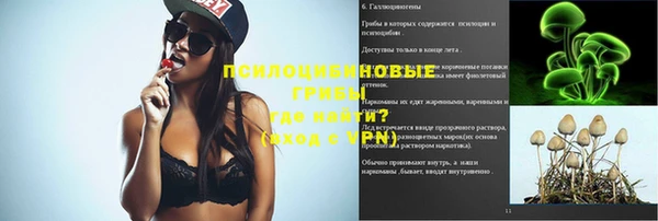 мдпв Краснослободск