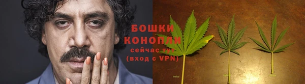 крисы Краснотурьинск