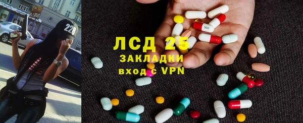 мдпв Краснослободск