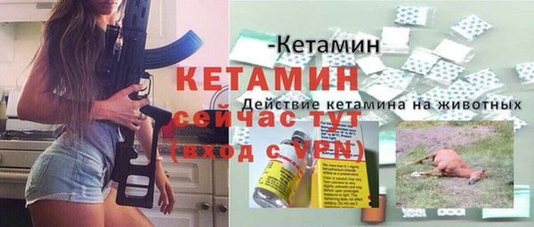 мдпв Краснослободск