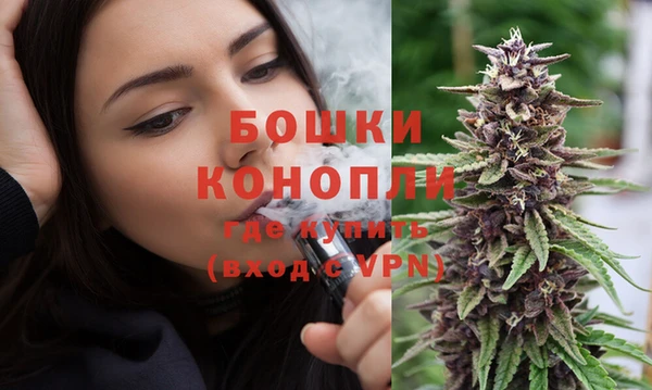 мдпв Краснослободск