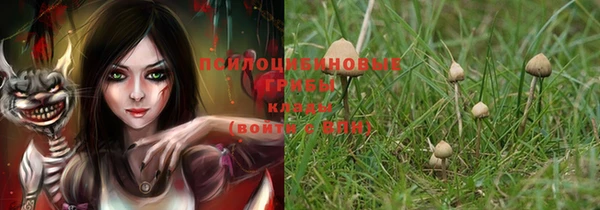 крисы Краснотурьинск