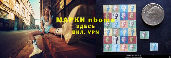 мдпв Краснослободск