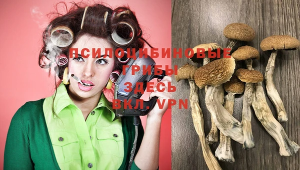 мдпв Краснослободск