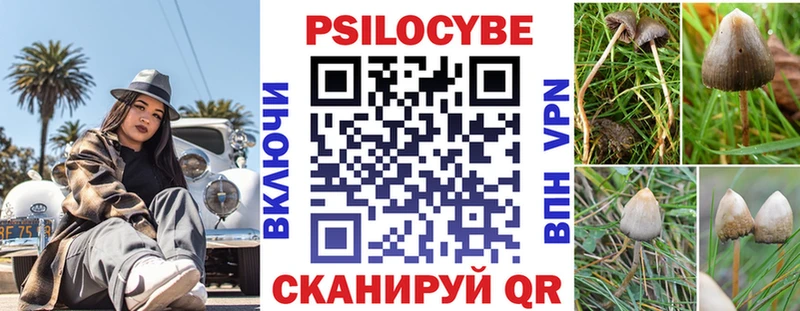 Псилоцибиновые грибы Psilocybine cubensis Красноармейск