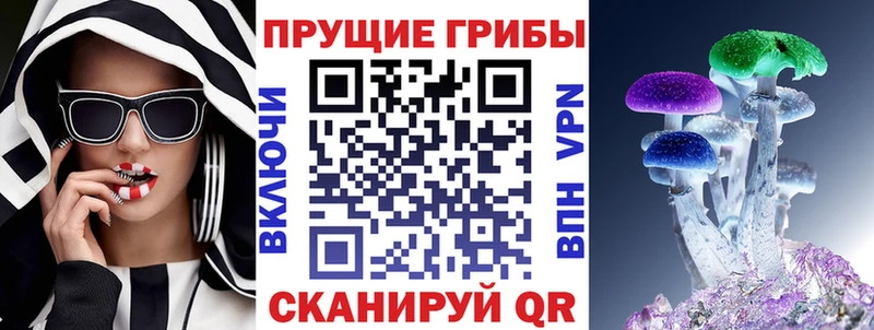 Купить закладки  Красноармейск  Галлюциногенные грибы Psilocybine cubensis 